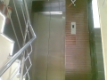 Photo0355