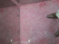 IMG-20170217-WA0272